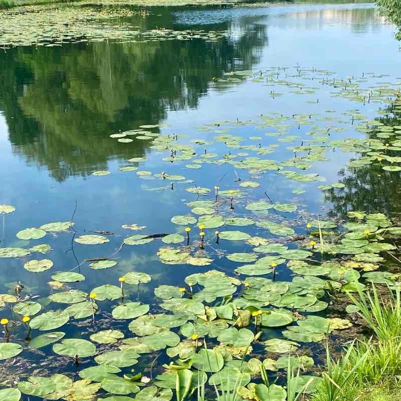 Владимир post 1