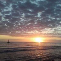 Martine Goret profile