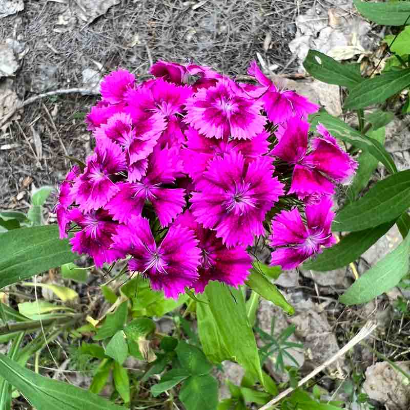 Creekside 2023 blanca.perez post image