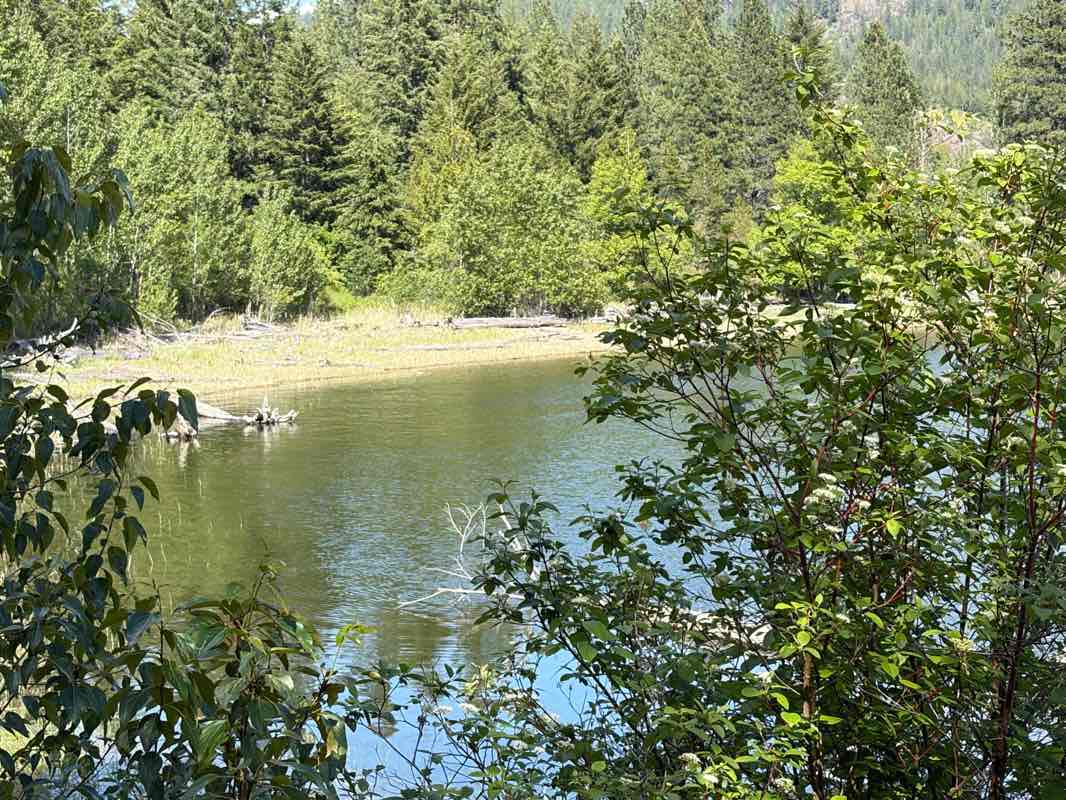 walking near me in Shuswap Lake Marine Provincial Park - Mara Point Site in summer