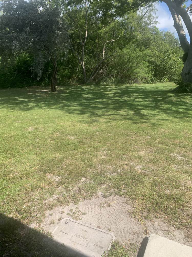 walking near me in Crandon Park in summer
