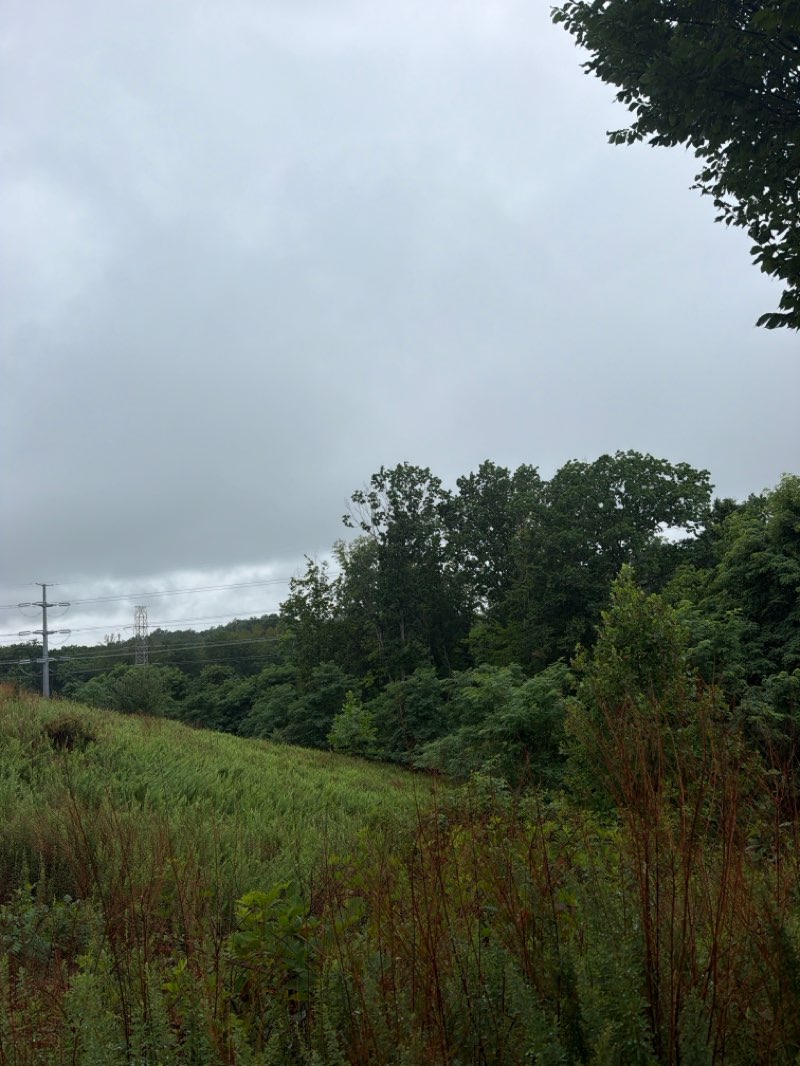 walking near me in C. Lacey Compton Neighborhood Park in summer