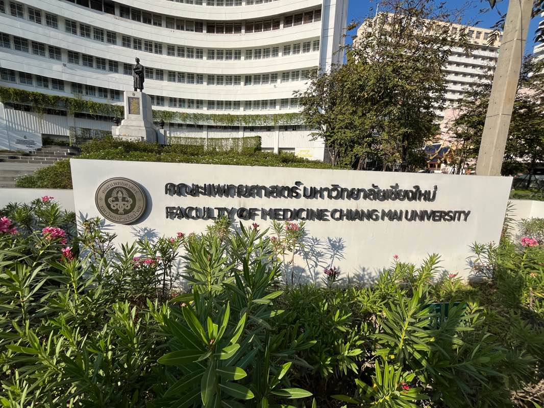 walking near me in CMU Palm Park in winter