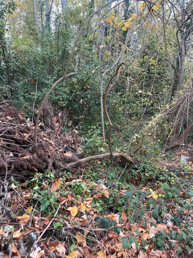 walking near me in Spiderfield in autumn