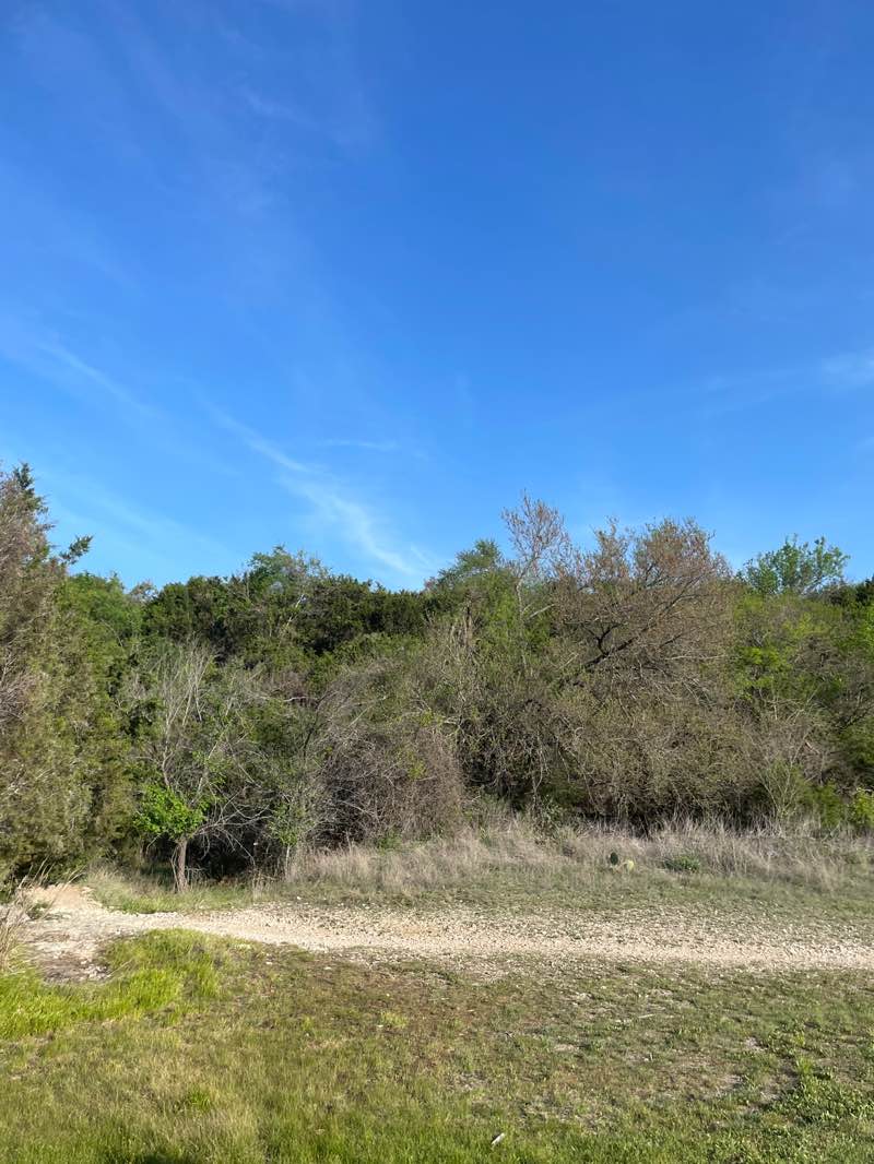 walking near me in Champion Park in spring