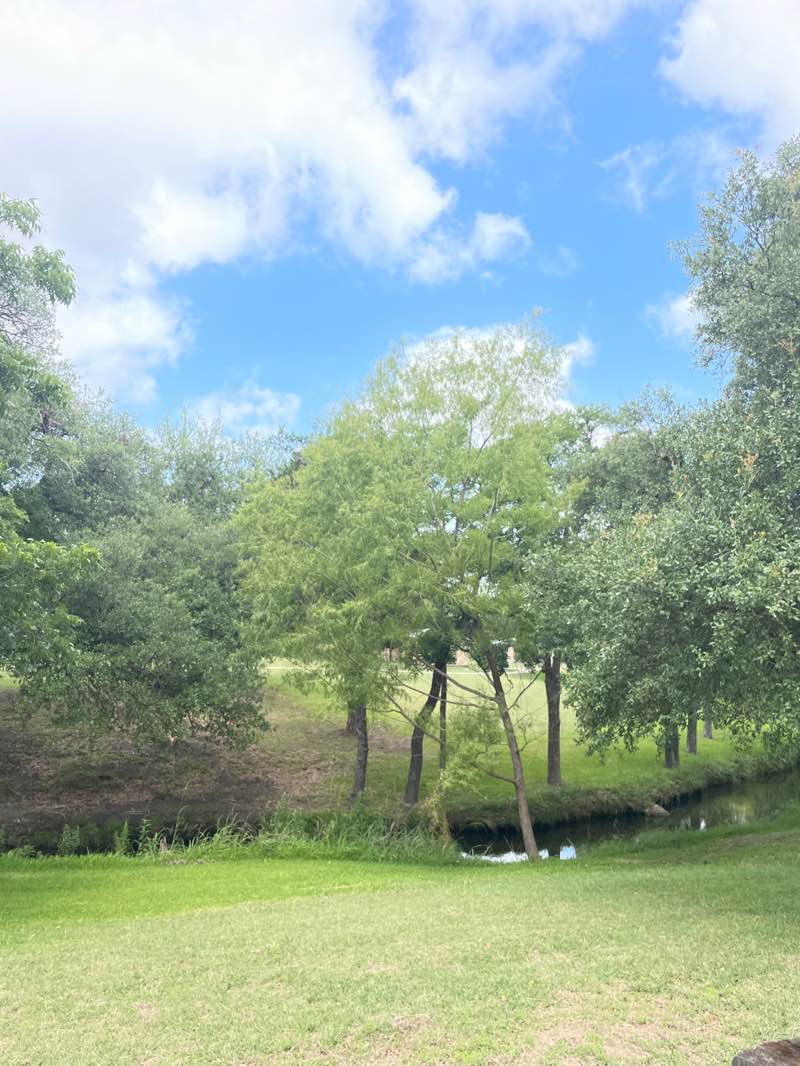 walking near me in Rosemary Denny Park in summer