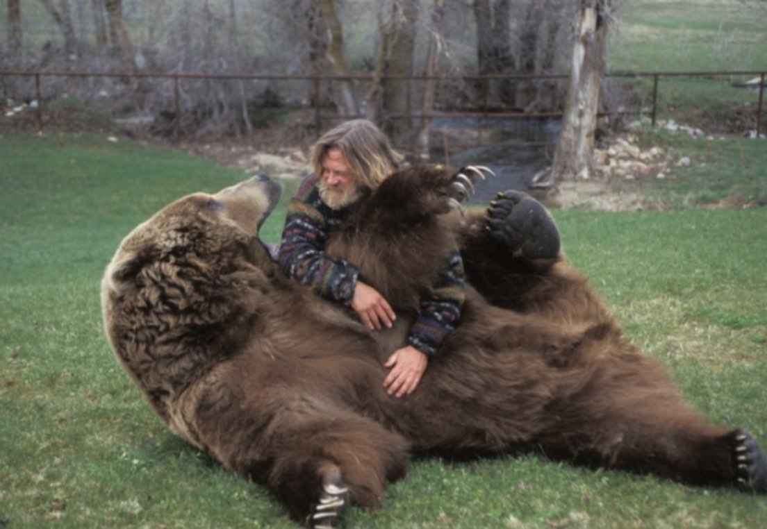 Илья Siberia 🇷🇺🐯