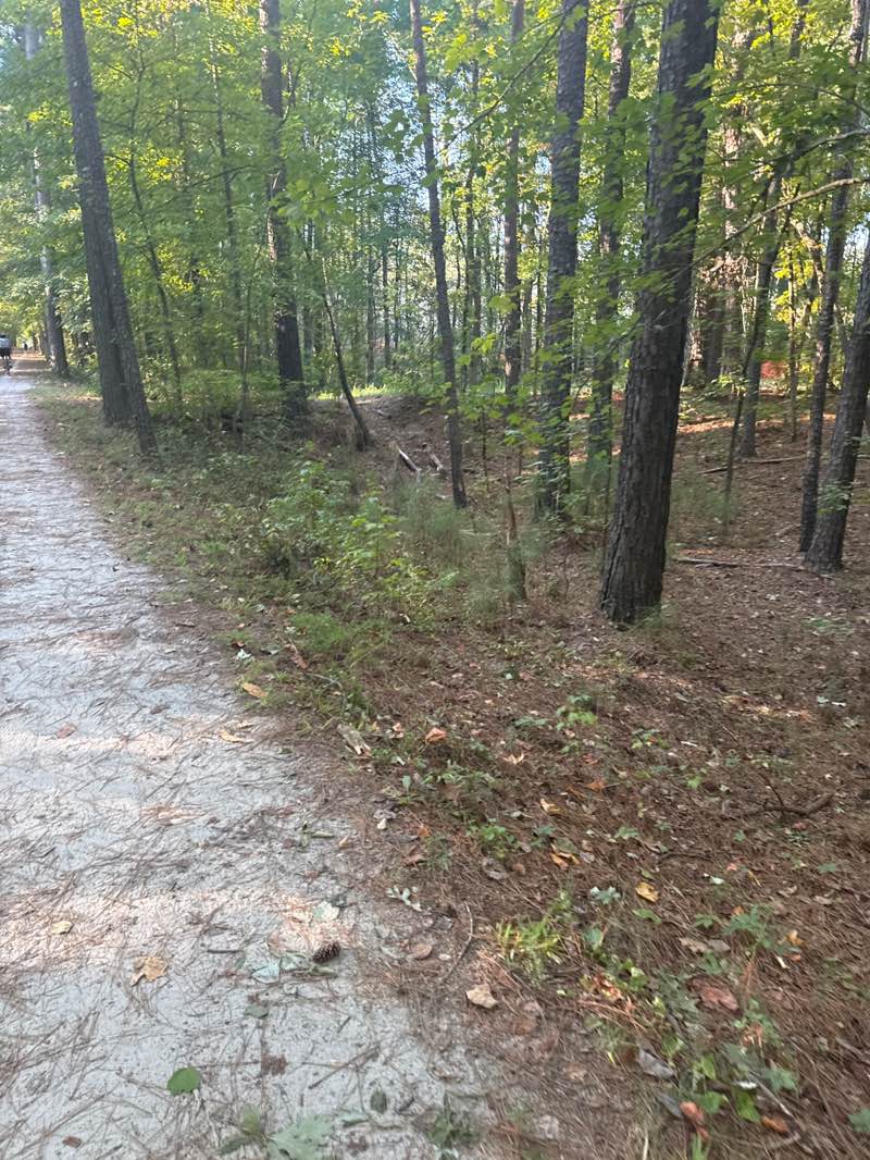 walking near me in American Tobacco Trail in autumn