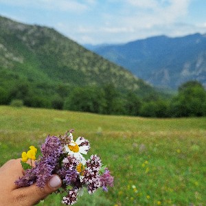 Рима Гижларян profile