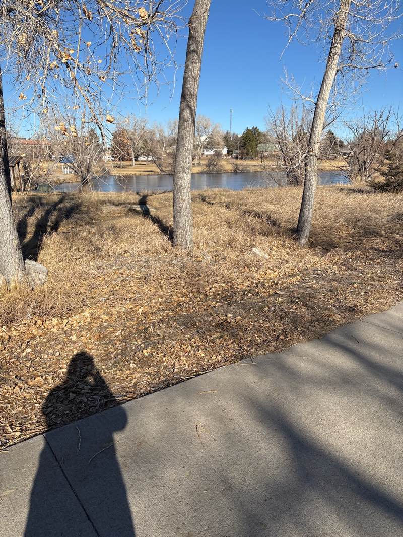 walking near me in Charles C Winburn Park in winter
