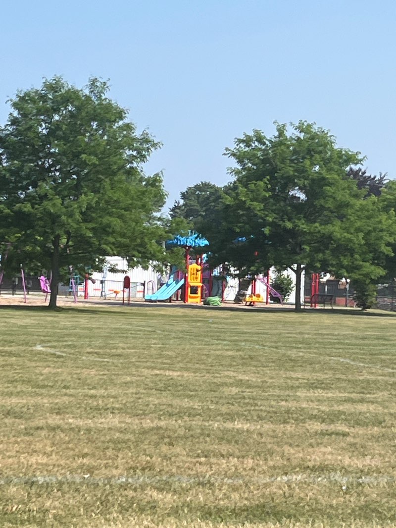walking near me in Cumberland Park in summer