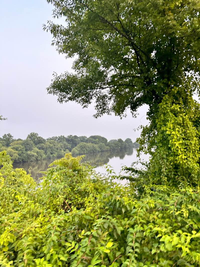 walking near me in Cooper River Park in winter