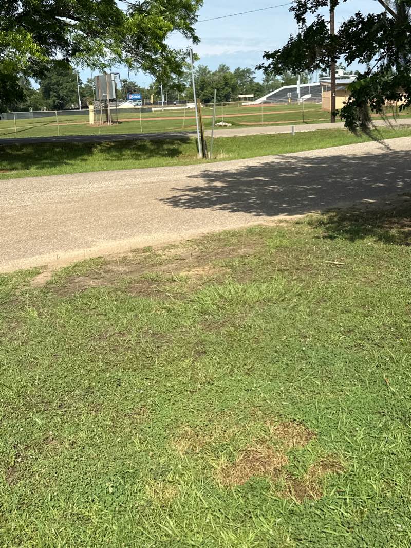 walking near me in Bloch Park in winter