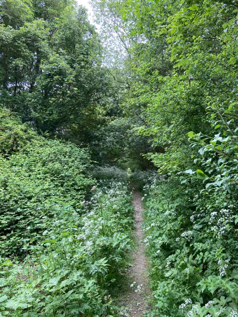 walking near me in Welland Park in winter