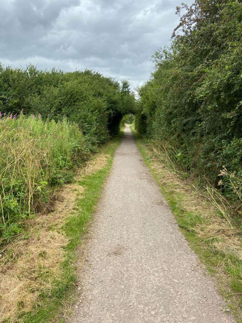 walking near me in Burford Green Recreation Ground in winter