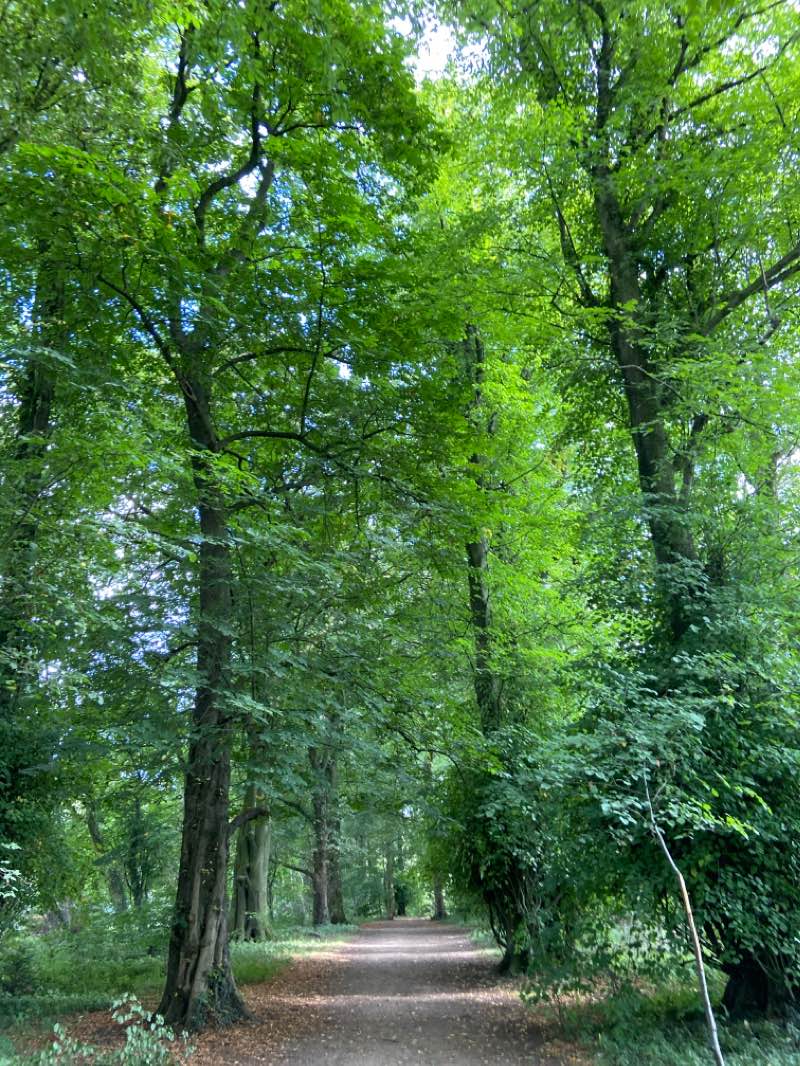 walking near me in Hardwick Park in winter
