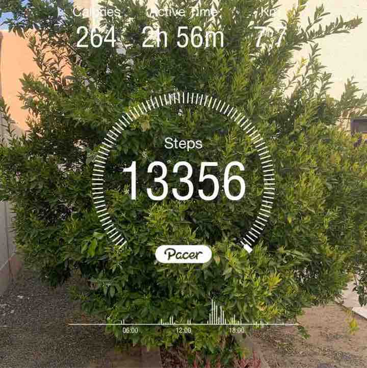 مشاة دروب جده أبو زياد post image