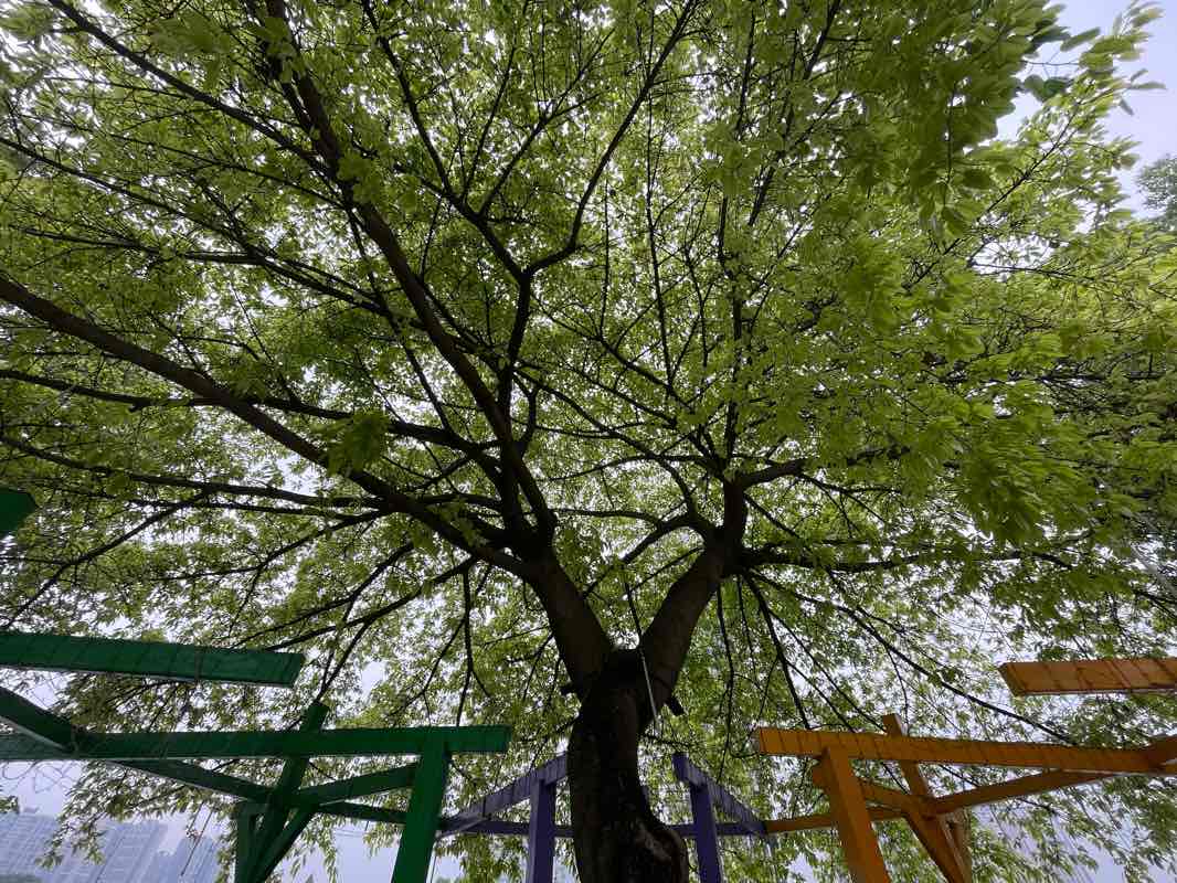 walking near me in Nanhu Wetland Park in winter