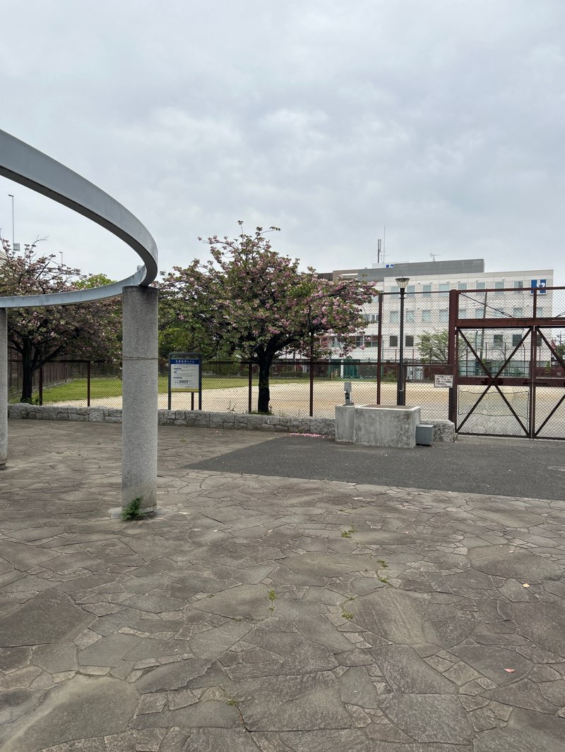 walking near me in 江北公園 in spring