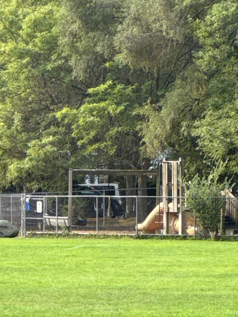walking near me in Weeks Playground in autumn