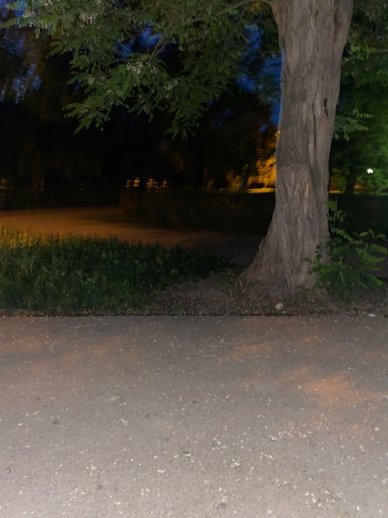 walking near me in Верхний парк in winter