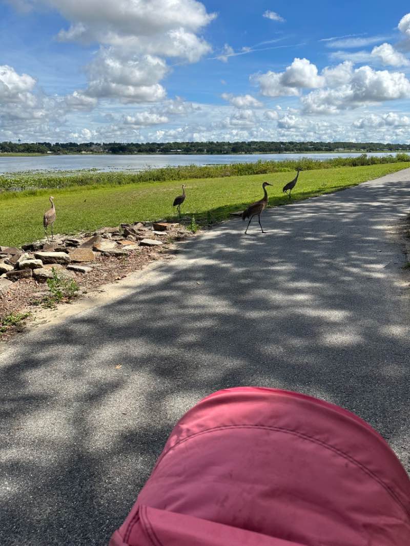 walking near me in Linton Sports Complex in winter