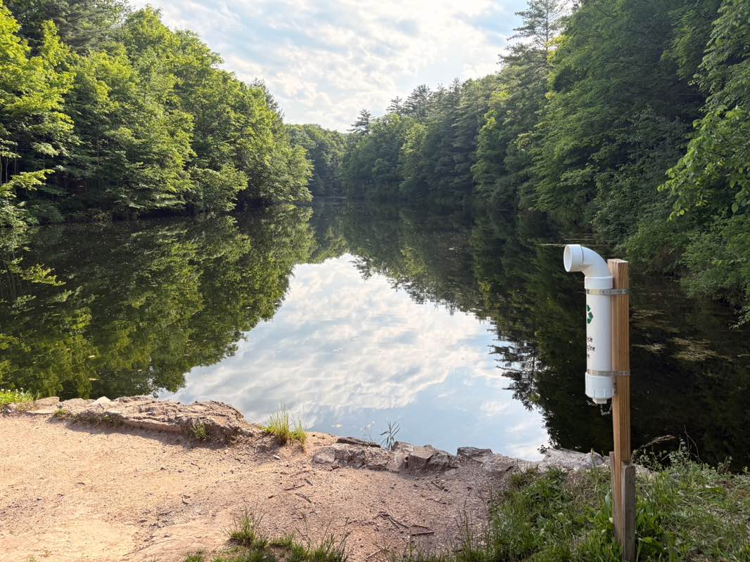walking near me in Mount Hope Reservoir in summer