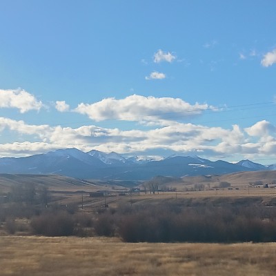 Horse people ✨️Taylor✨️ post image