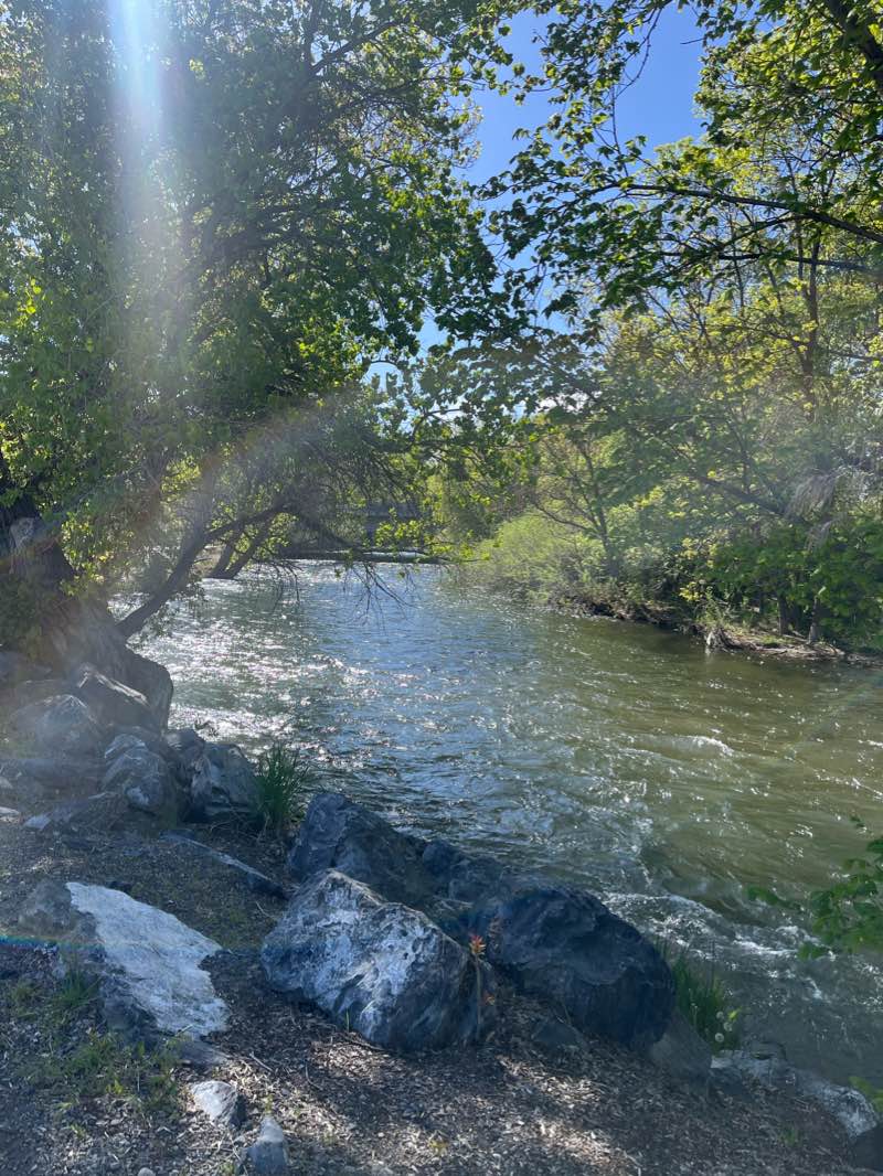 walking near me in Oxbow Park in winter