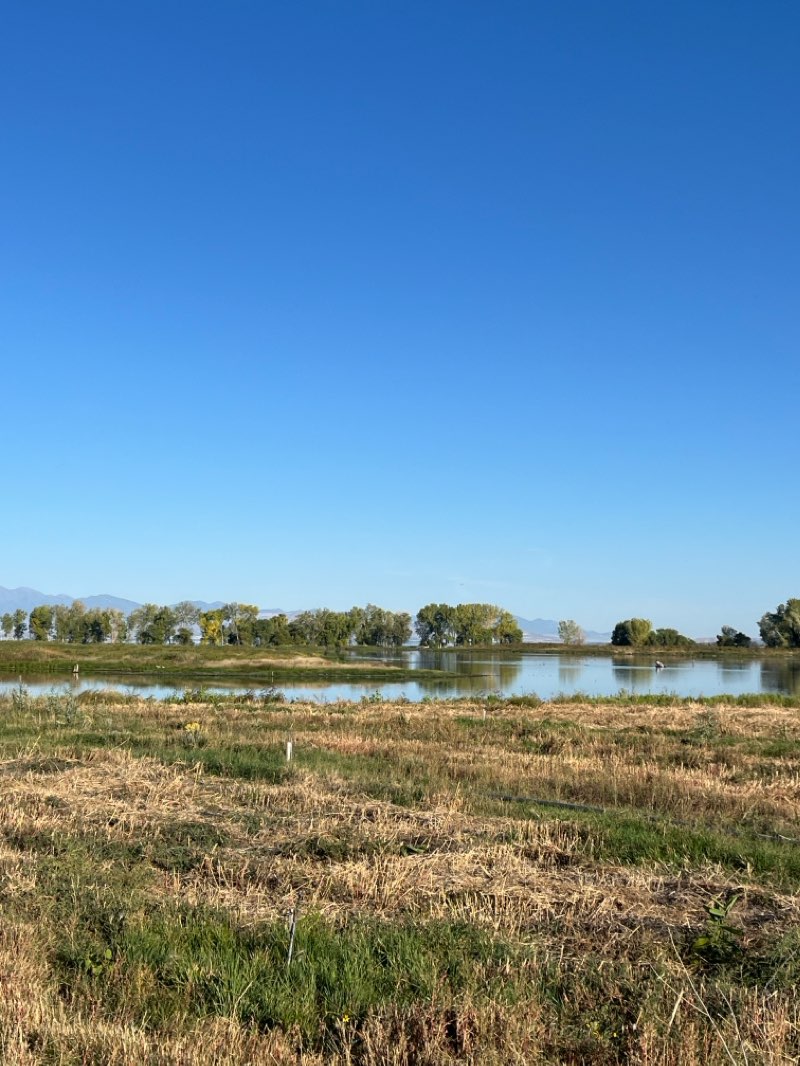 walking near me in Utah Lake State Park in winter
