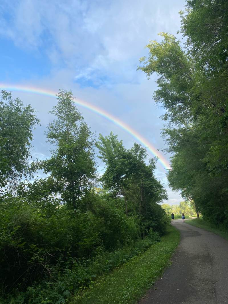 walking near me in Big Woods in winter