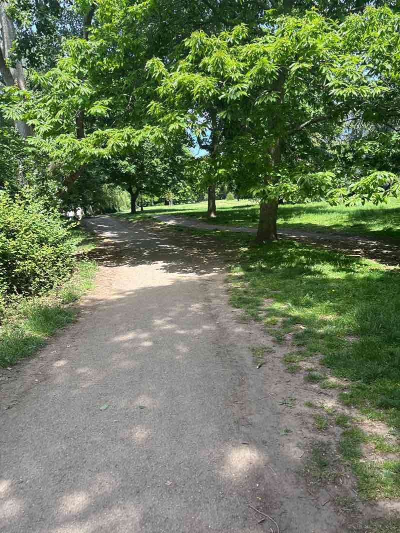 walking near me in The Byes in summer