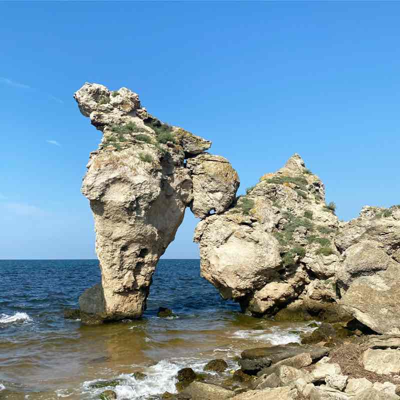 Просторы Крыма 🌿 Зинфира post image