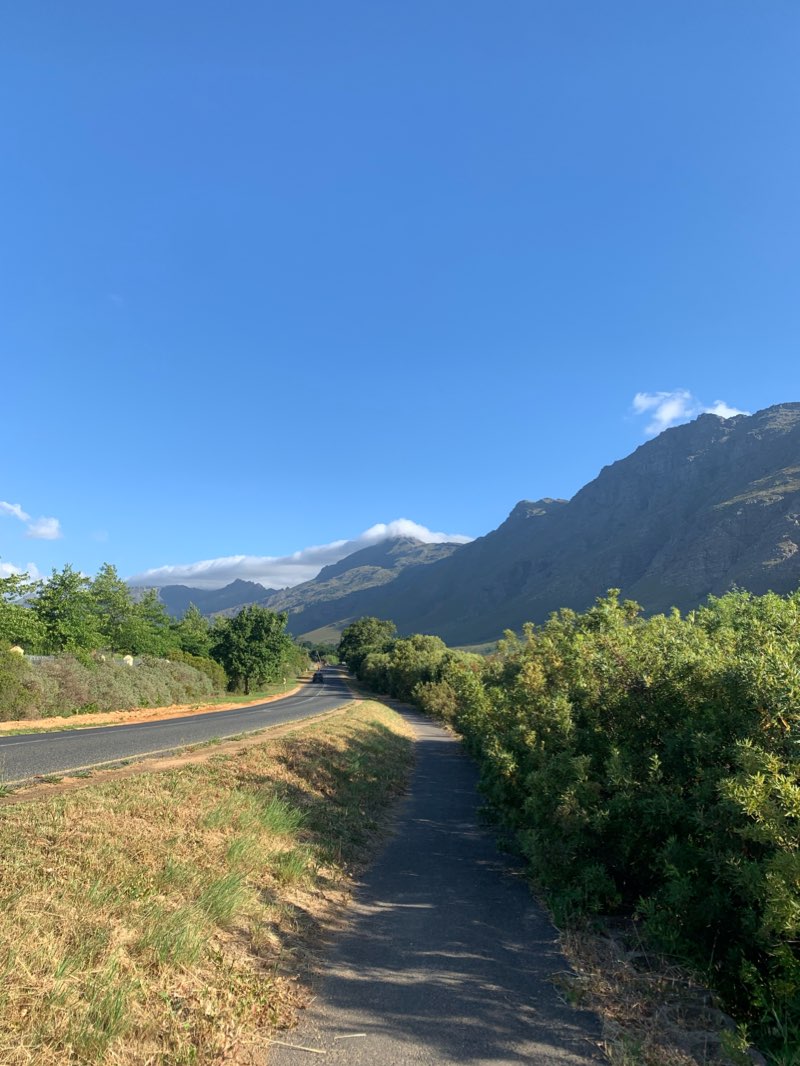 walking near me in Jan S. Marais Park in summer