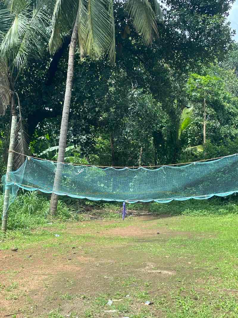 walking near me in S N Park in summer