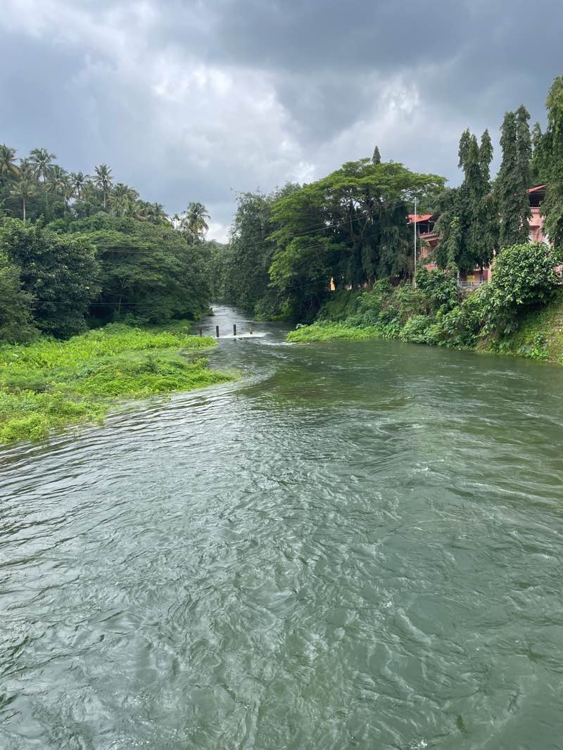 walking near me in Peechi Dam Park in summer
