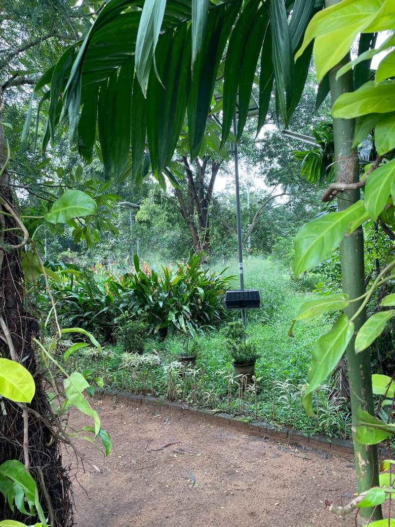 walking near me in irinjalakuda muncipality park in summer