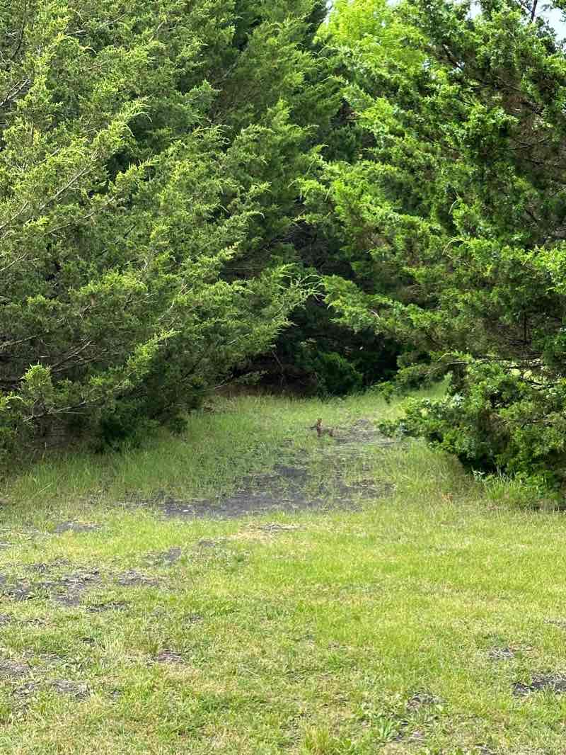 walking near me in Smith Park in winter