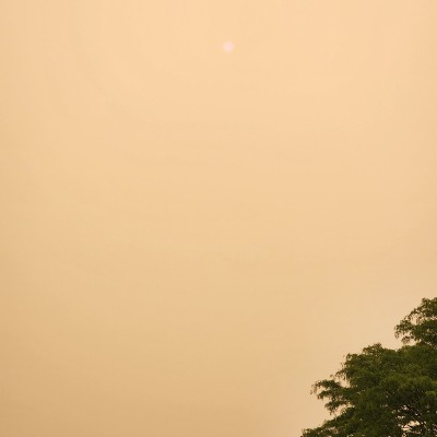 \"MACHO MAN\" Randy Savage post 1