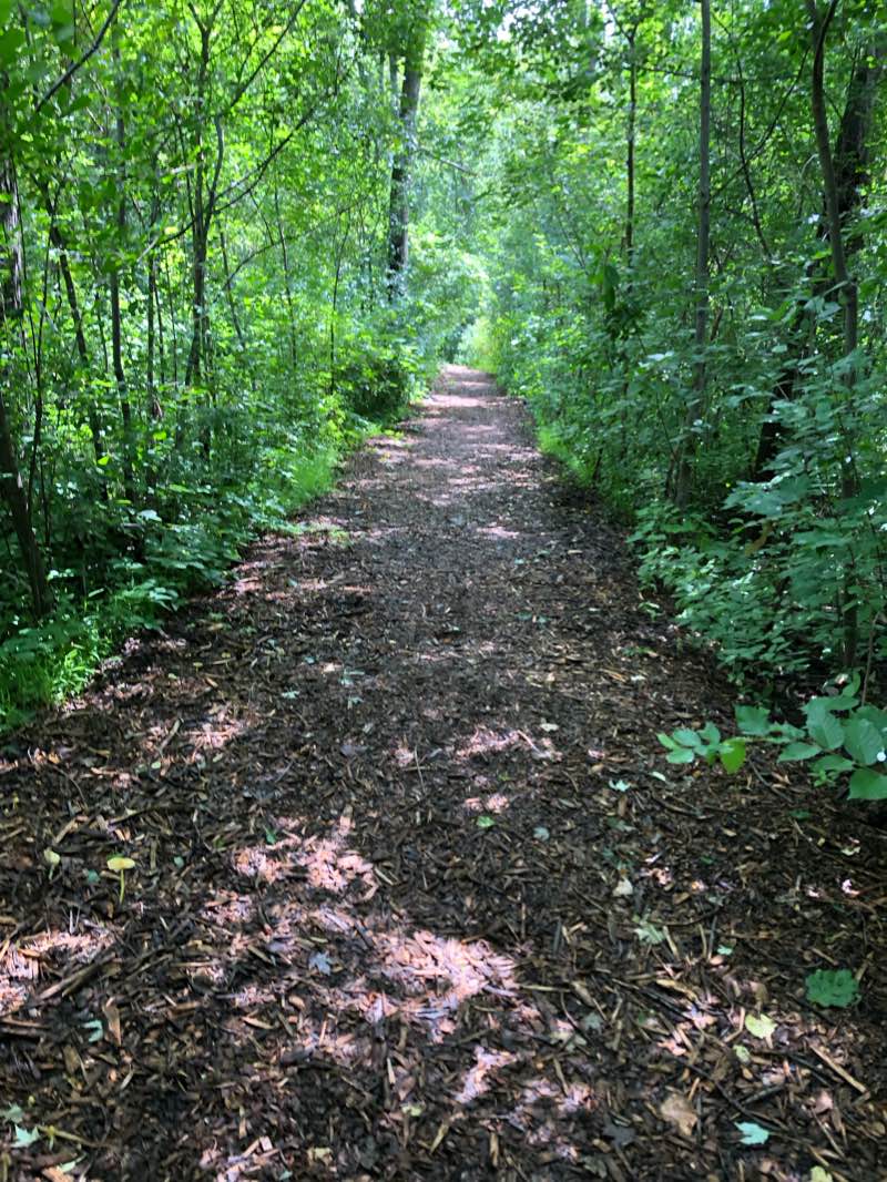 walking near me in Parc Angrignon in winter
