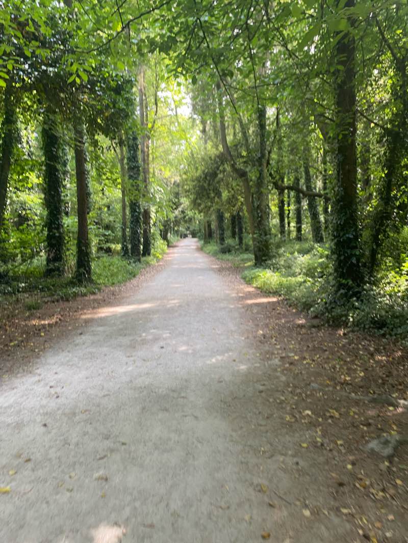 walking near me in Casino in winter