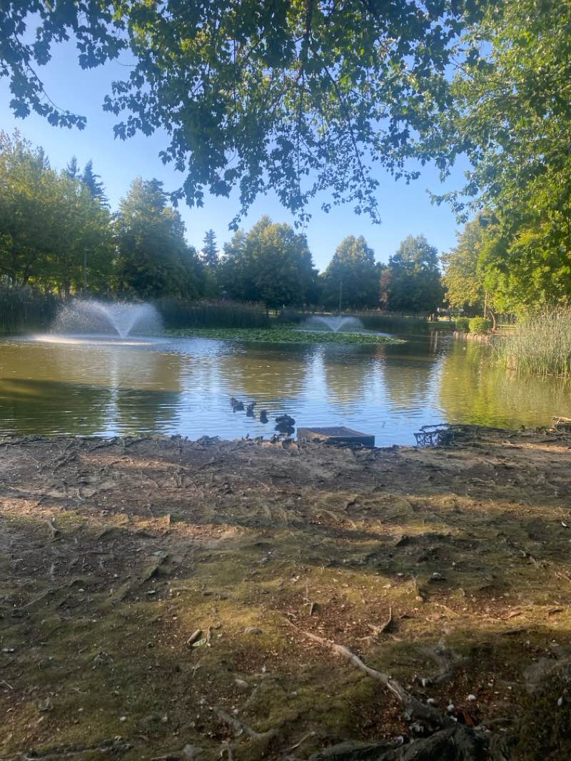 walking near me in Red Sunset Park in summer
