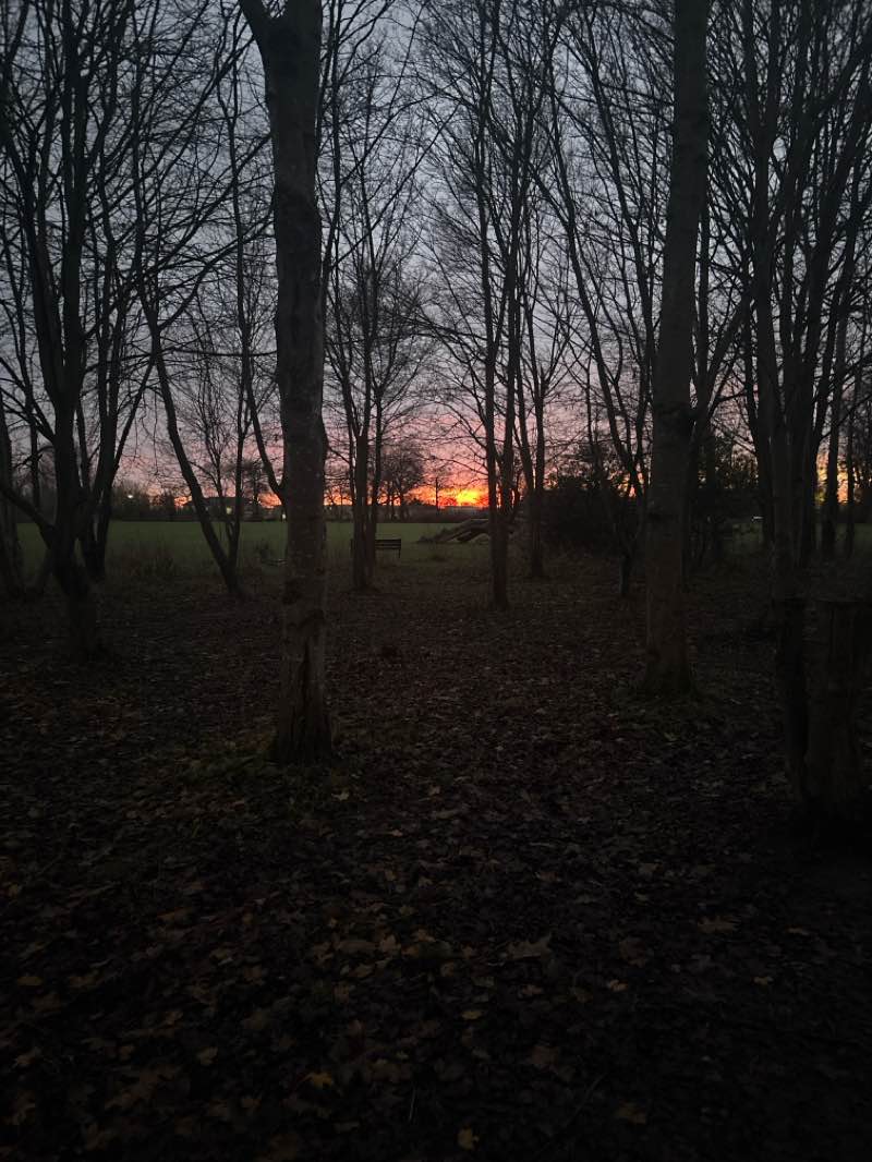 walking near me in Burnham Park in winter