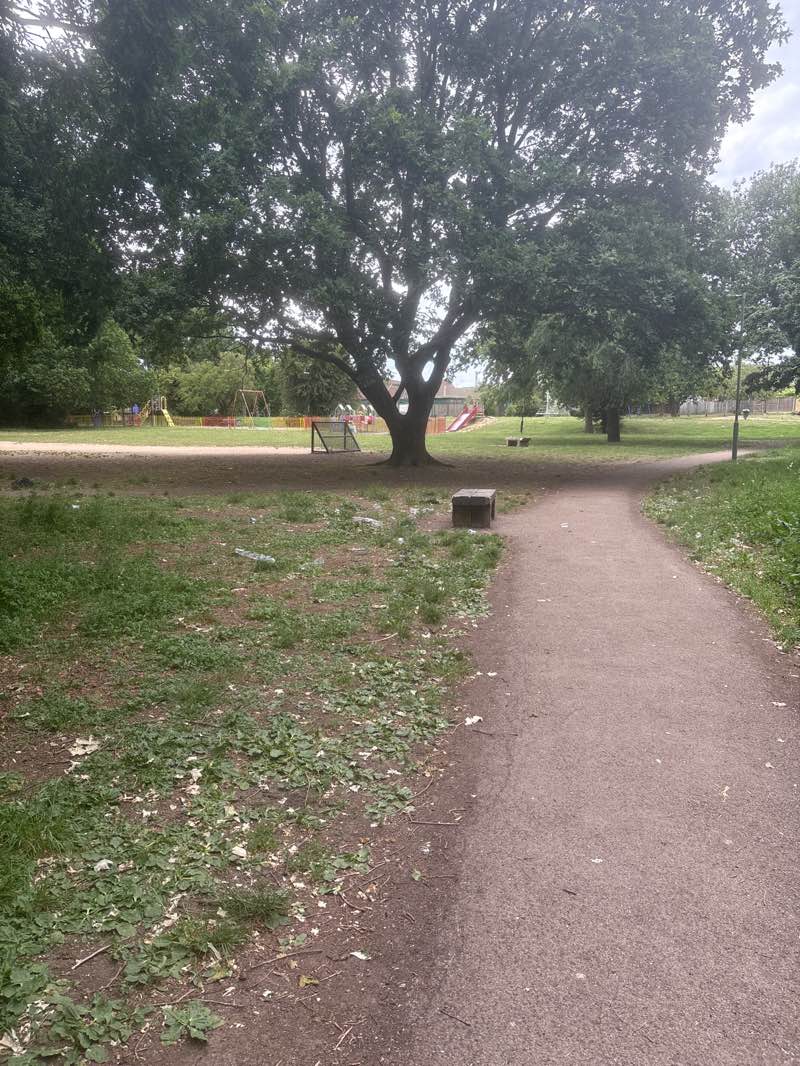 walking near me in Lodge Farm Park in summer