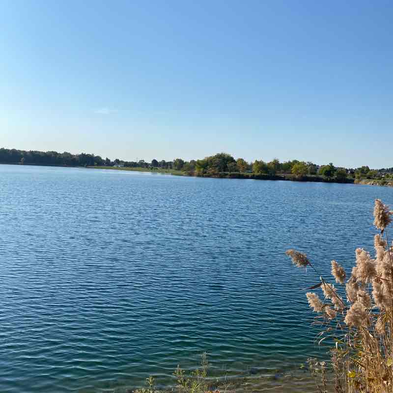 Aurora Castillo post 1