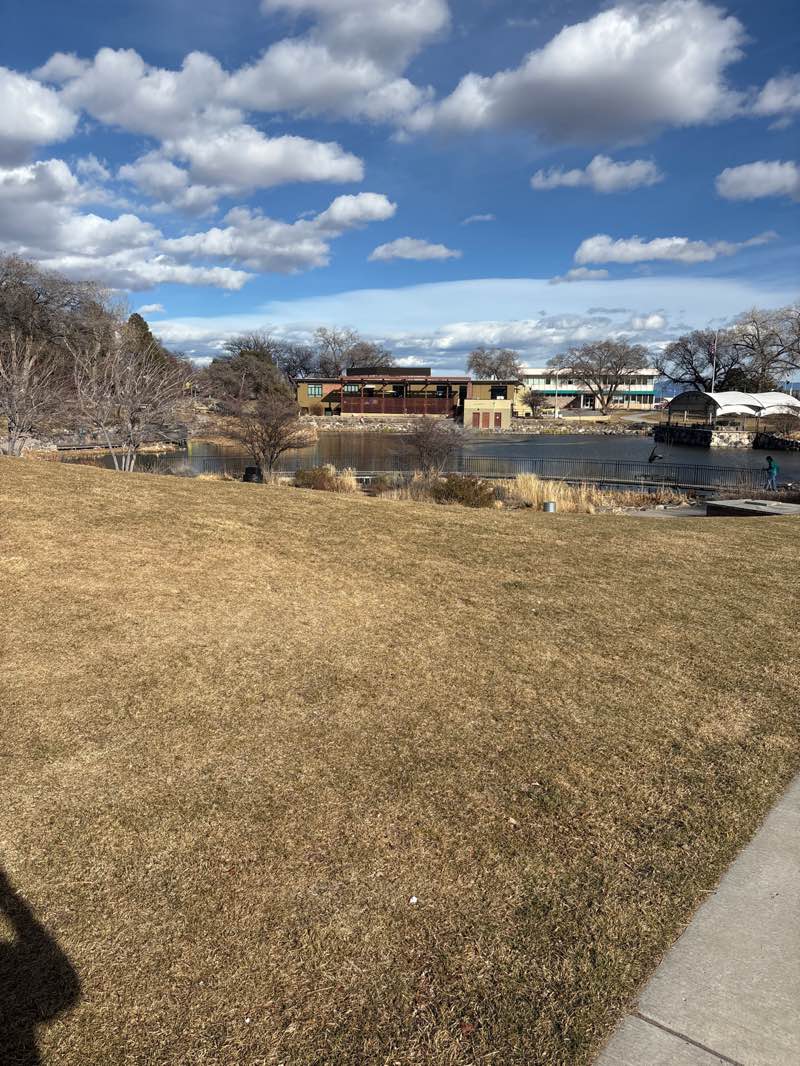 walking near me in Ashley Pond Park in winter