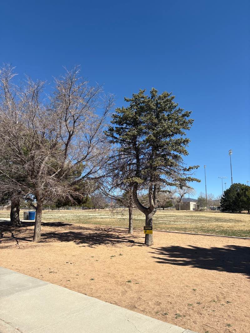 walking near me in General Franklin E Miles Park in spring