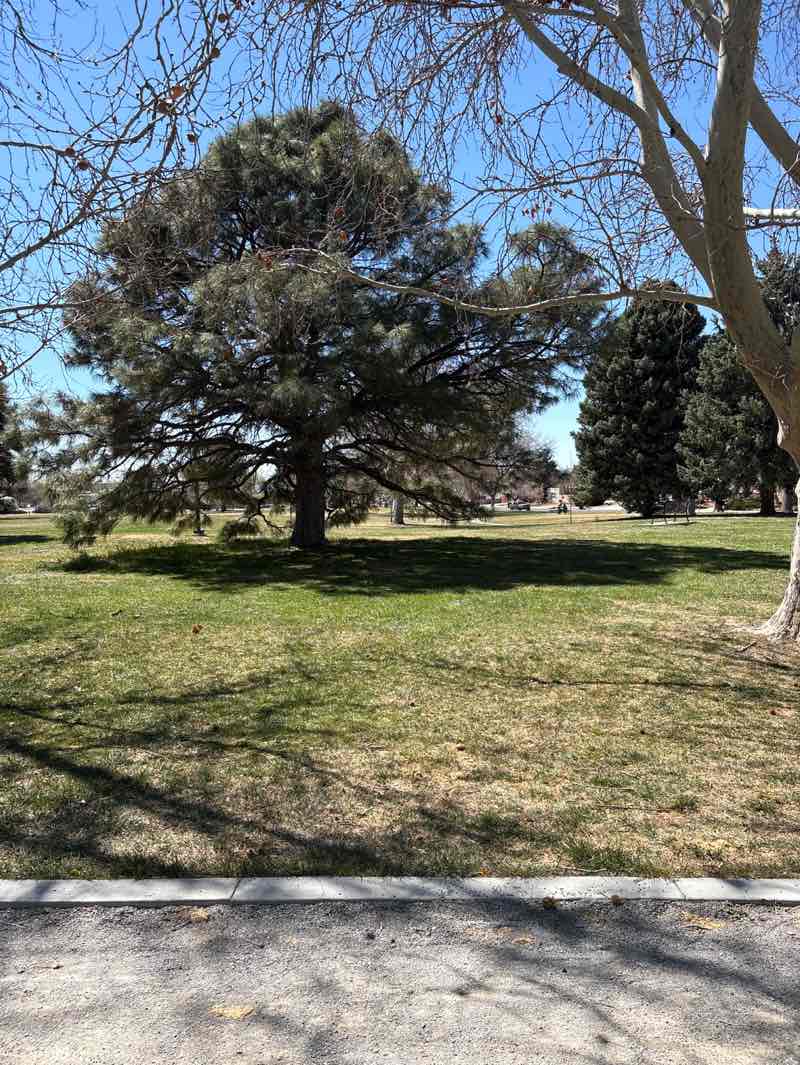 walking near me in Loma del Rey Park in spring
