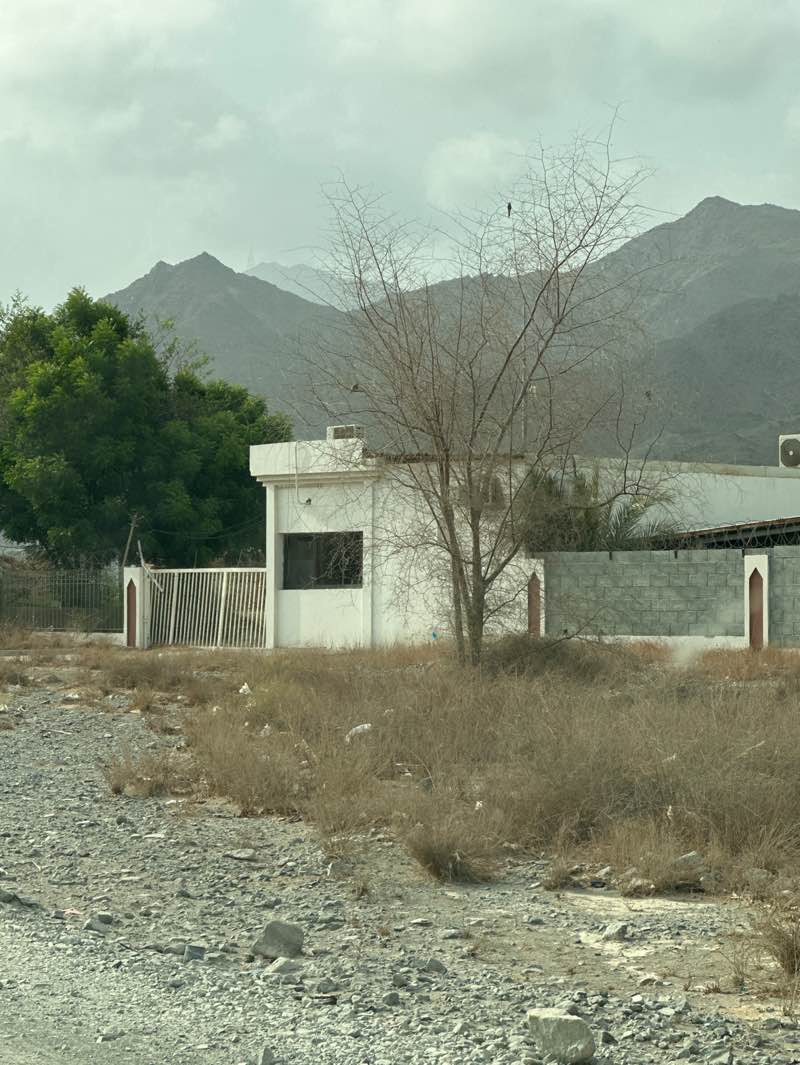 walking near me in National Park in summer