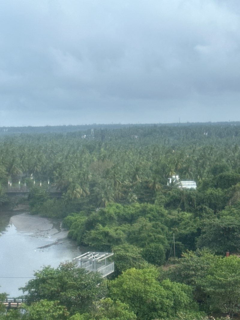 walking near me in Payyambalam Beach Park in autumn